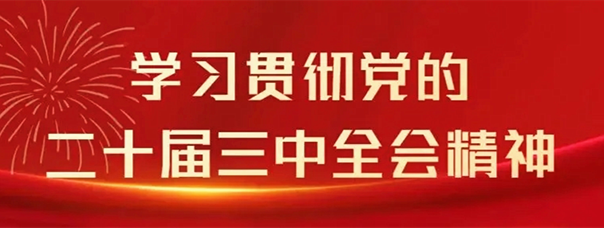 学习贯彻党的二十届三中全会精神