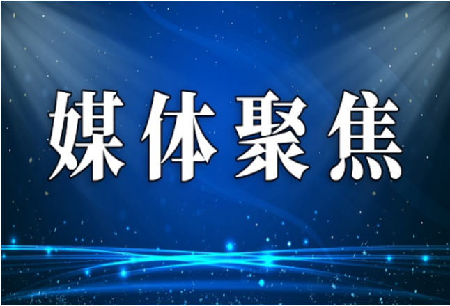 【红网时刻】宜章县大元村：蔬菜忙采摘 绘就好“丰”景