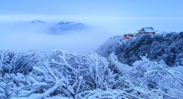 【美丽宜章】莽山雪韵